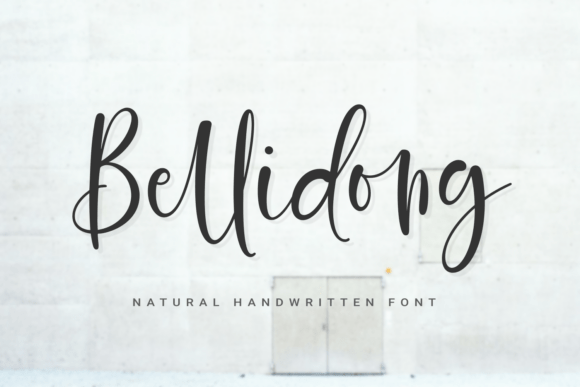 Bellidong: Elegant Handwritten Font