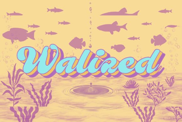 Walized: A Timeless Font for Business